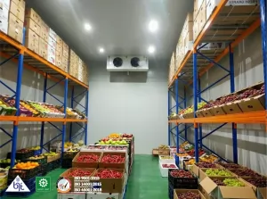 Cold Storage Room Chiller: Ruang Penyimpanan Dingin